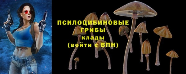 амф Арсеньев