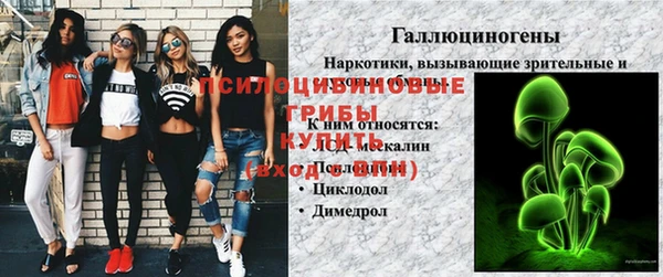 МДПВ Новодвинск