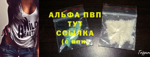 альфа пвп Новокубанск