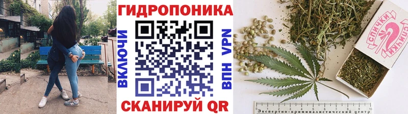 Бошки марихуана планчик Приморско-Ахтарск